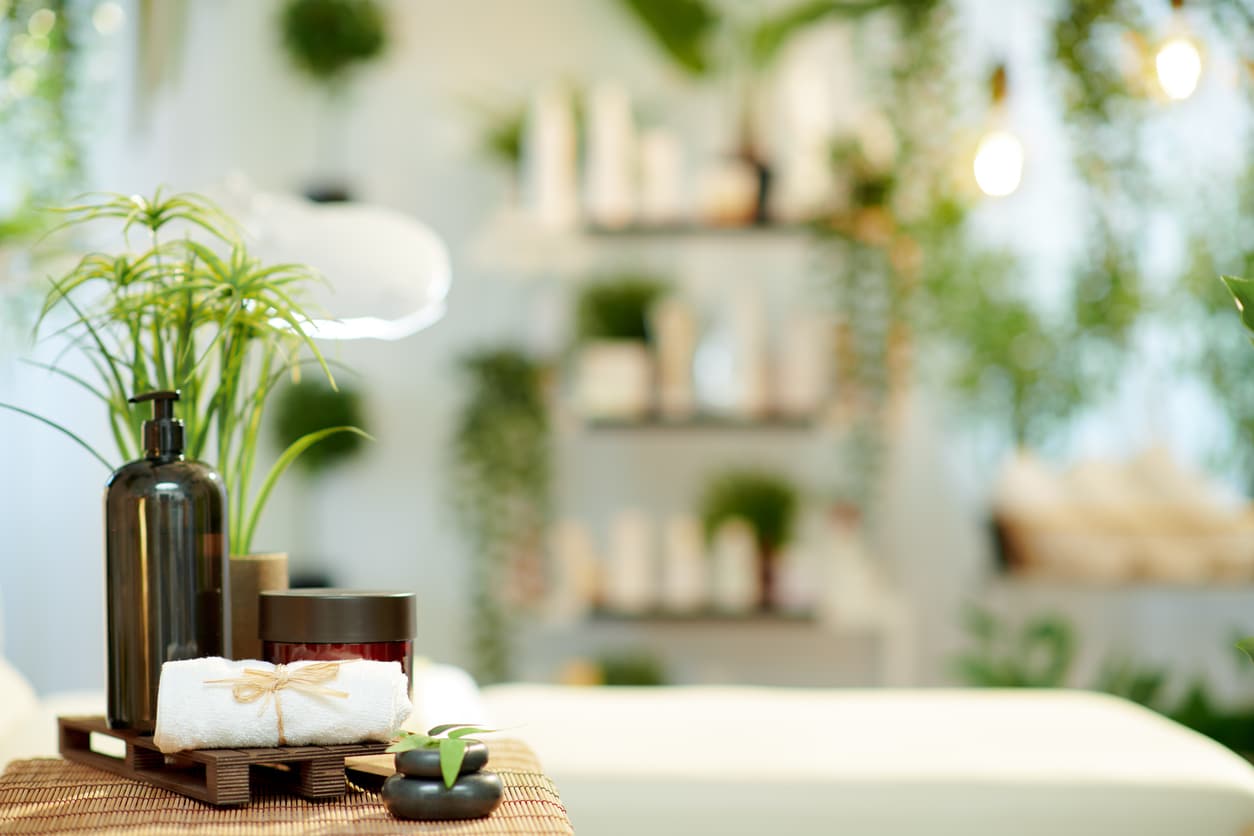 salon de coiffure bio plantes vertes produits cosmétiques naturels végétal coiffeur shampoing