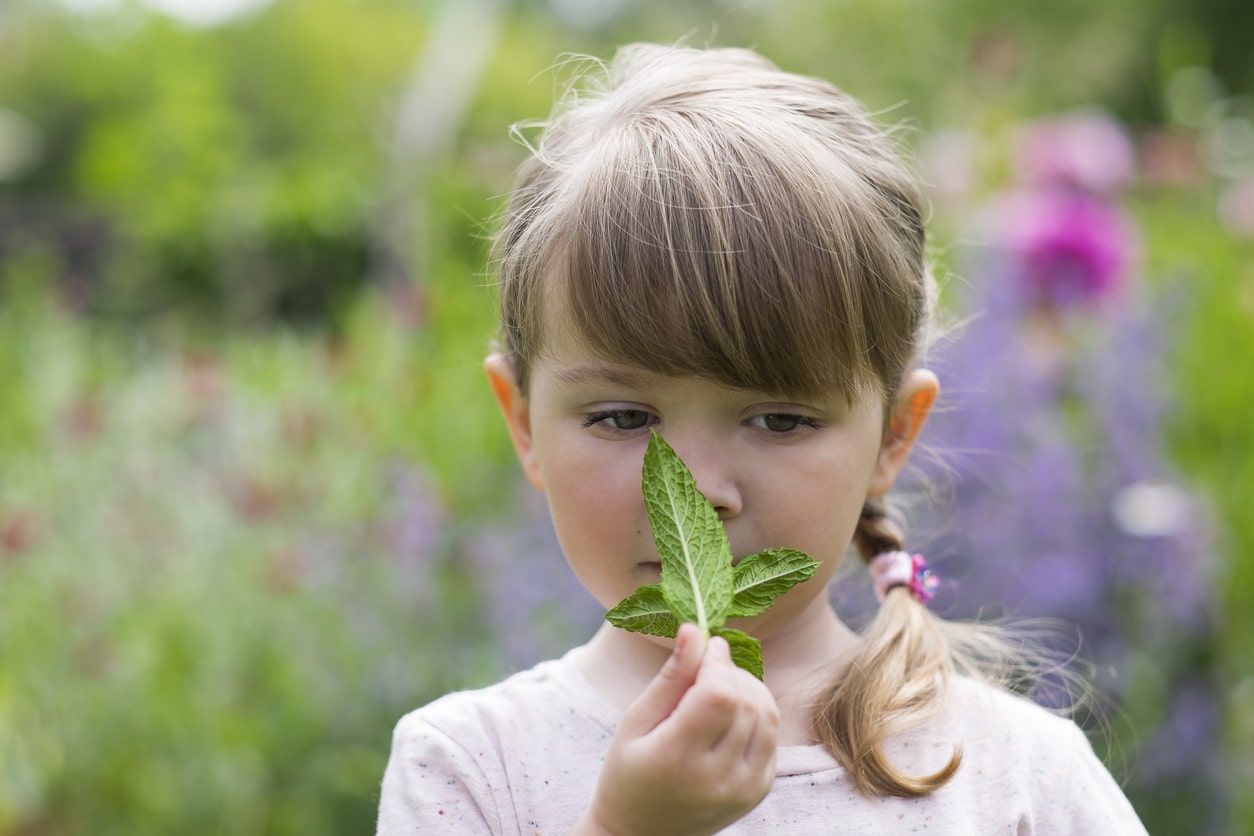 petite fille enfant fillette sentir menthe feuille jardin odeur parfum