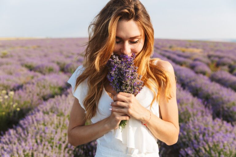 femme sentir bouquet de lavande plante fleurs champs odeurs remonter moral